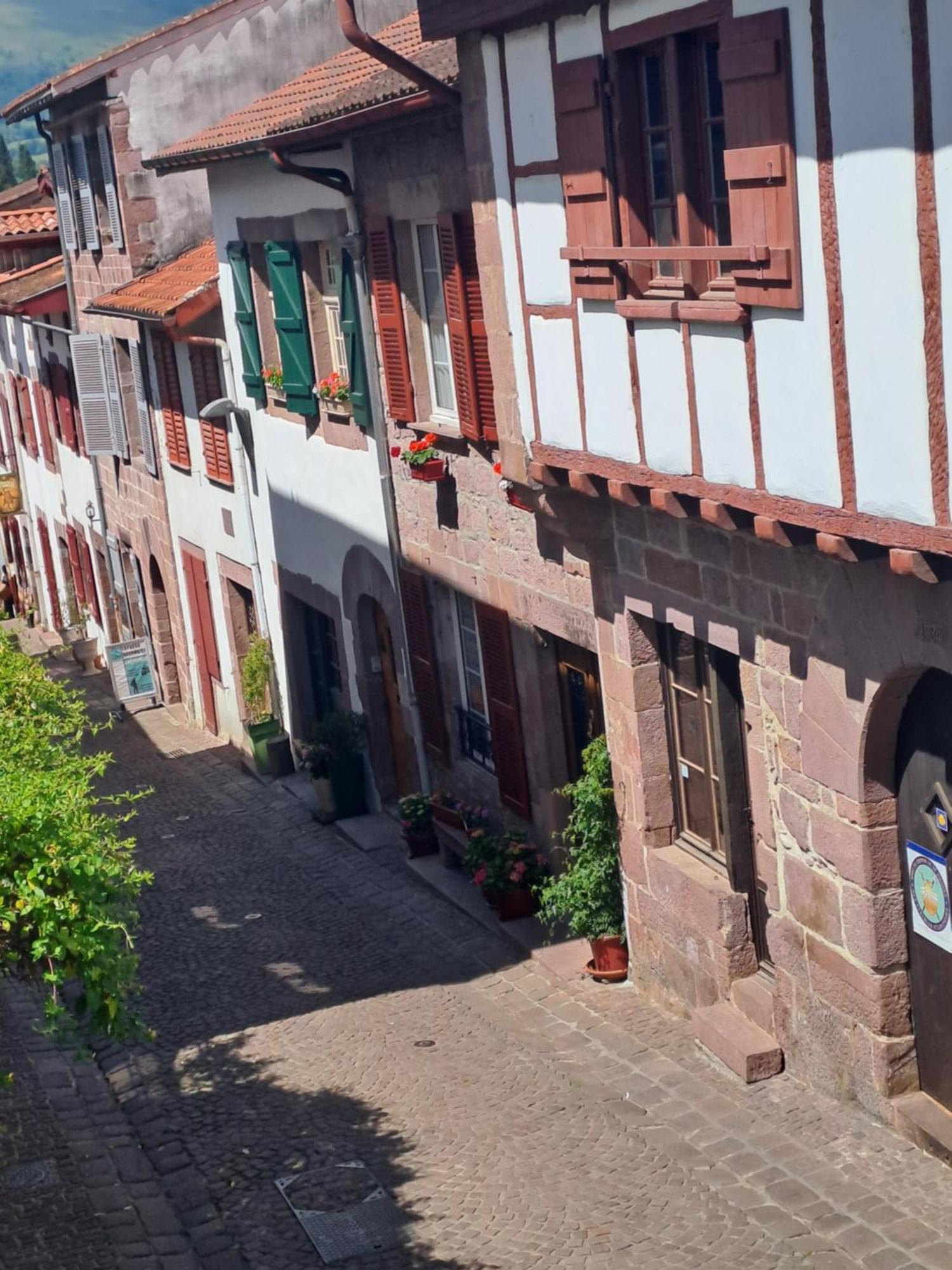Maison Gohora Dago Saint-Jean-Pied-de-Port Luaran gambar